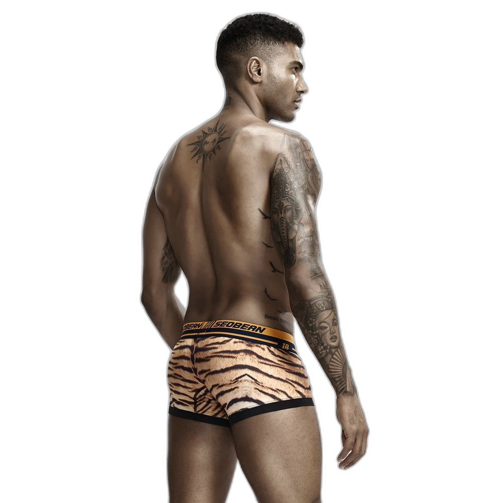 Seobean Tiger Boxers