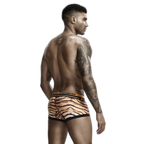 Seobean Tiger Boxers