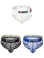 3 Pack Men's Low-Rise Lace Sexy Mesh Briefs And Thongs