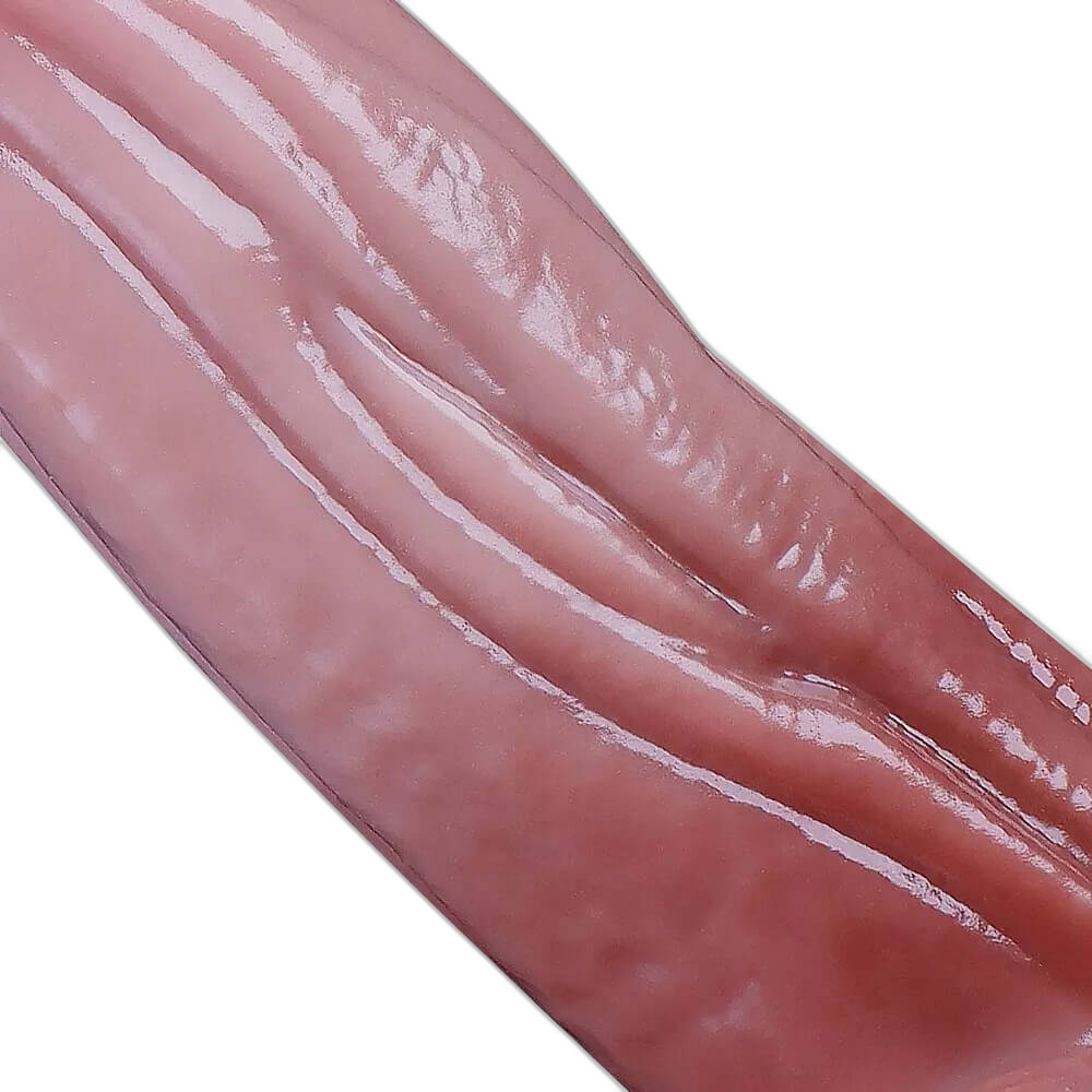 Bard - 9.5 Inch Realistic Silicone Dildo
