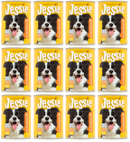12 x Jessie Dog Chicken 400G