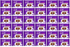 36 x Cadbury Giant Buttons Bitesize 40Gm