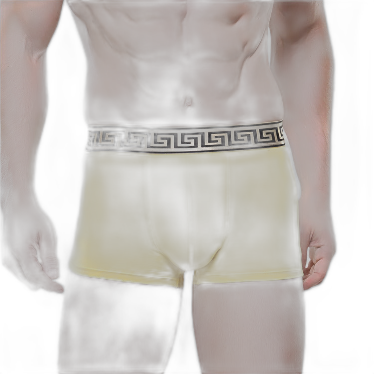Olympus Boxer Briefs
