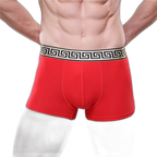 Olympus Boxer Briefs