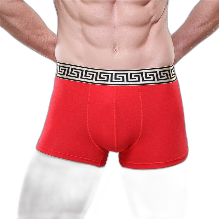 Olympus Boxer Briefs