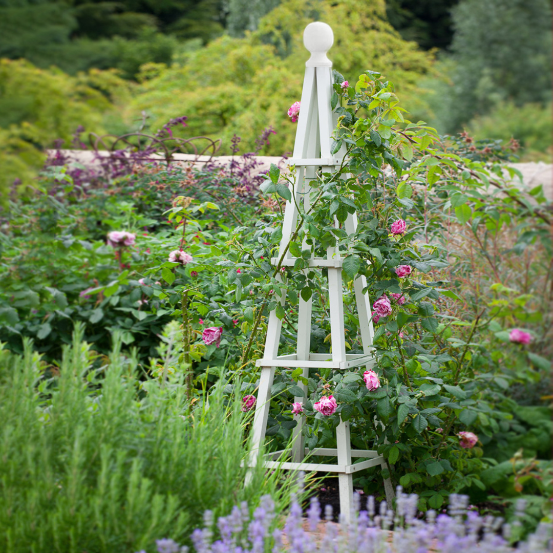 Large Garden Sage Obelisk Outdoor Arch Heavy Duty Strong Wooden Plant Cage