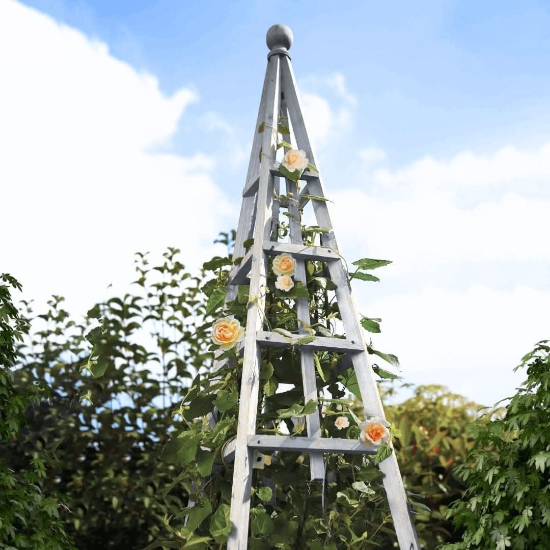 Large Garden Sage Obelisk Outdoor Arch Heavy Duty Strong Wooden Plant Cage