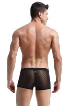 Transparent Mesh Boxers