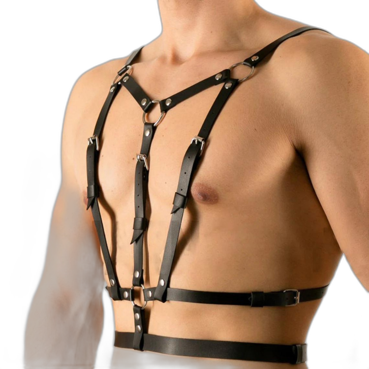 Buckle Up Buddy Black Harness