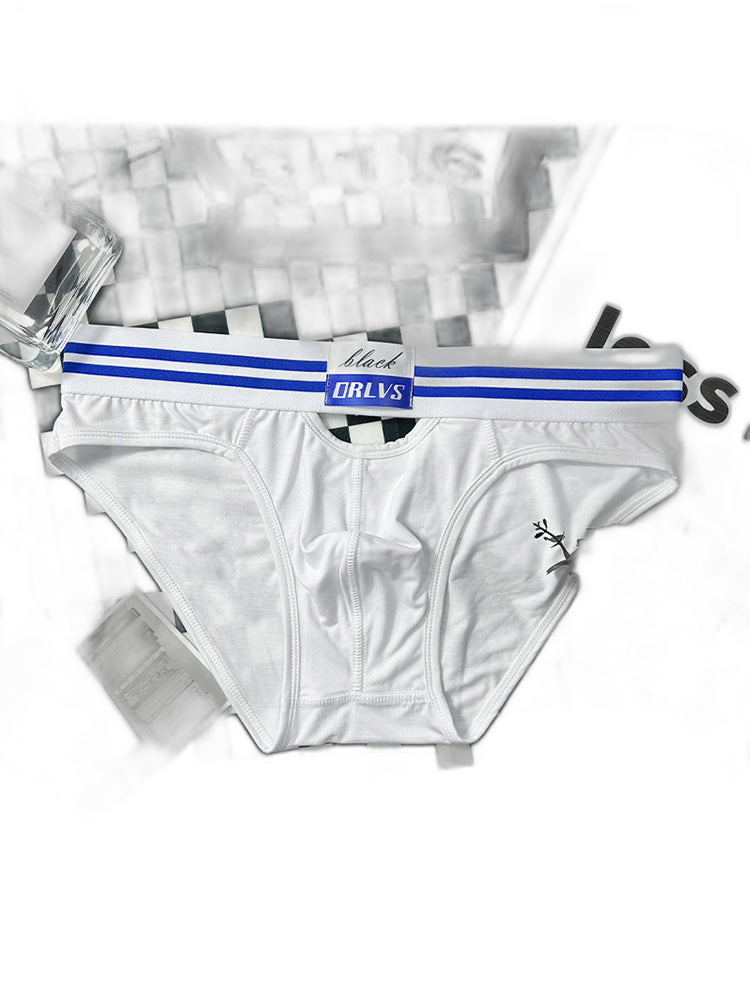 2 Pack Men's Low-Rise Breathable Modal briefs