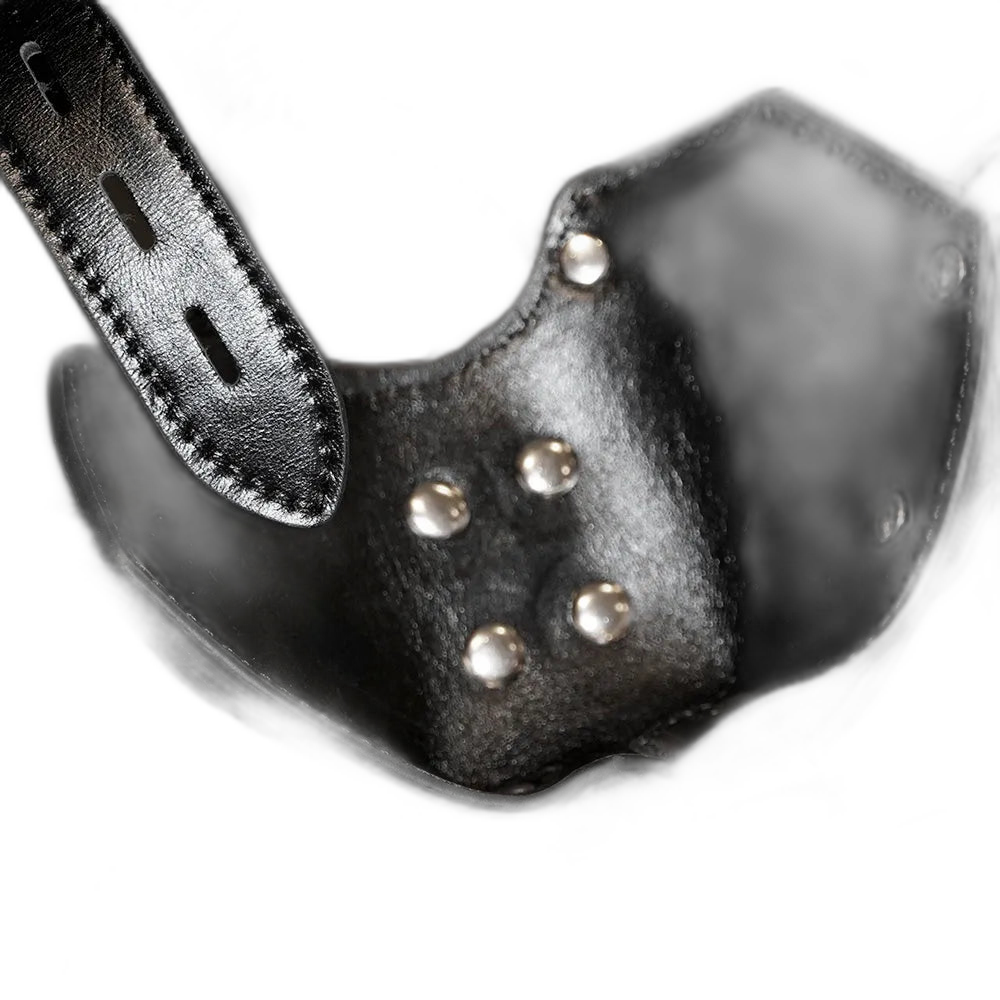 Tumbled Leather Muzzle Harness
