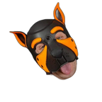 Mr S Leather NEOPRENE FRISKY Puppy Hood | Orange