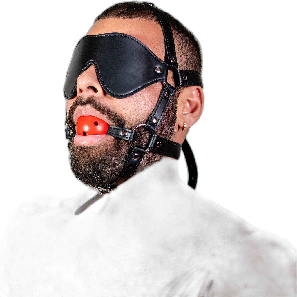 ruff GEAR Rein Harness with Breathable Ball Gag