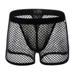 AllureFit Sexy Mesh Boxers Briefs