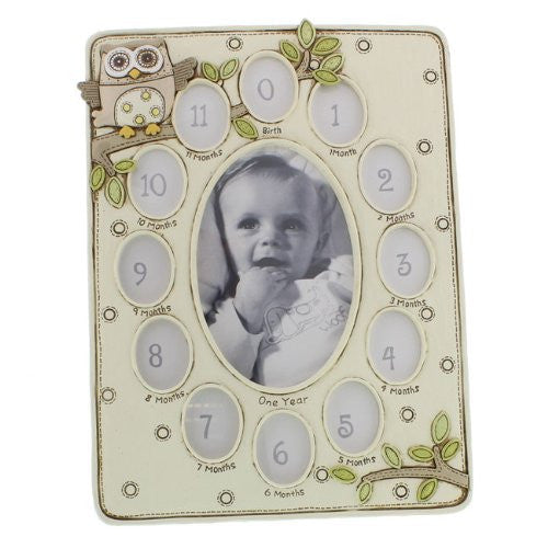 Juliana Baby Noahs Ark Resin 13 Aperture Frame Owl (CG401)