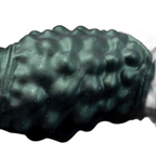 Nexus Node - Alien Dildo - Monster Toy