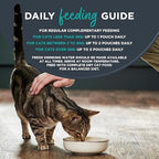 Encore 100% Natural Wet Cat Food, Multipack Chicken in Jelly, 5 x 50 g Pouches