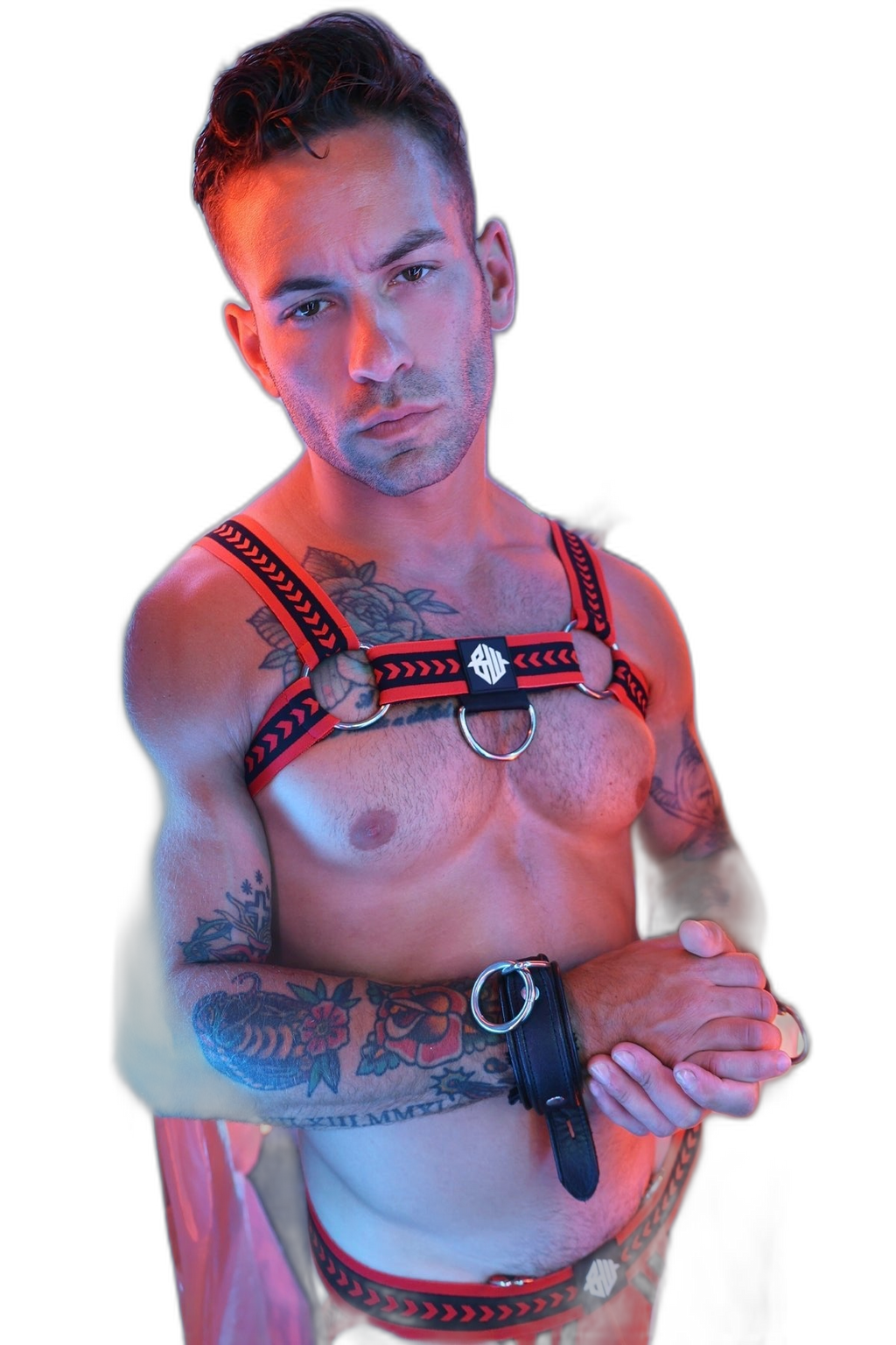 Breedwell Daddys Favourite Bulldog Harness Red