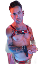 Breedwell Daddys Favourite Bulldog Harness Red