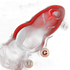 Peppermint Fury - Knot Dildo - Kanis Dildo - Butt Plug - 3 Sizes