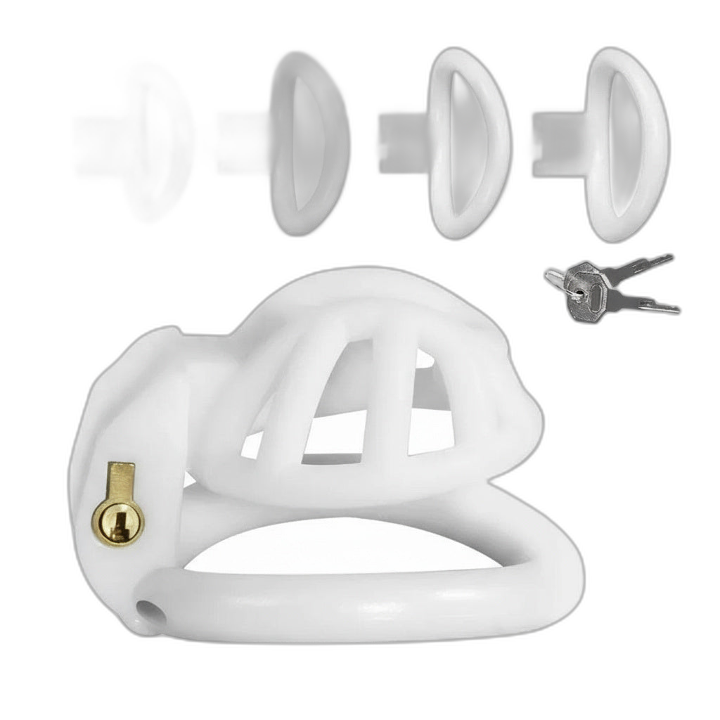 PushTech Chastity Cage With 4 Ring Sizes