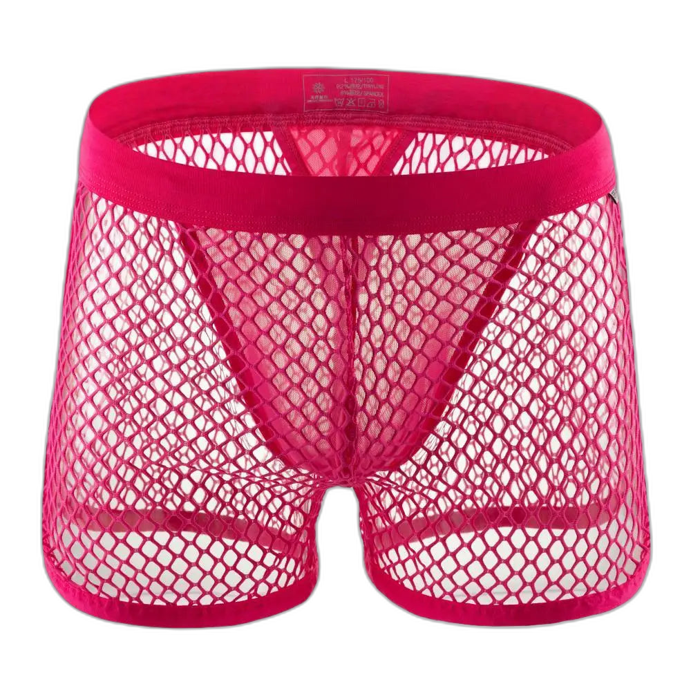 AllureFit Sexy Mesh Boxers Briefs