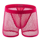 AllureFit Sexy Mesh Boxers Briefs