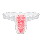 Lace Oasis Thong