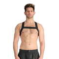 Prowler RED Sports Harness Black