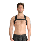 Prowler RED Sports Harness Black