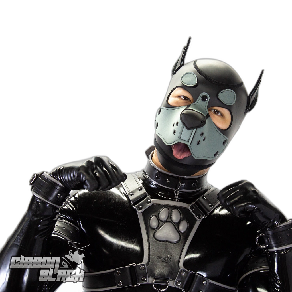 Standard Neoprene Pup Hood