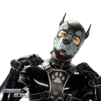 Standard Neoprene Pup Hood