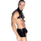 Dom's Dark Desire Harness Set