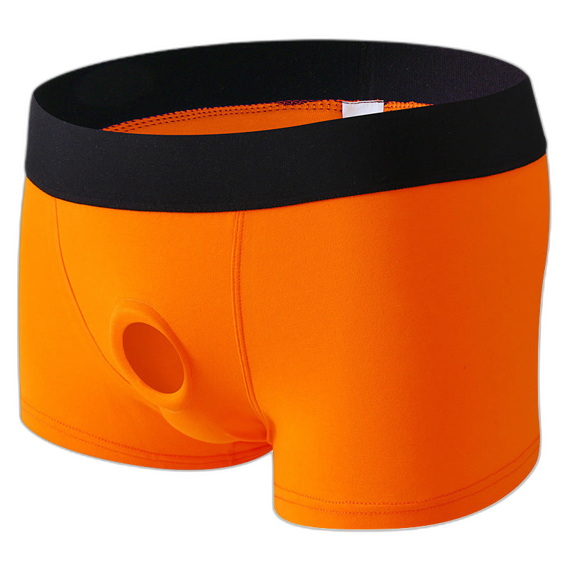 Essentials Glory Boxer Briefs