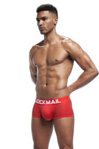 Mesh Boxer Briefs