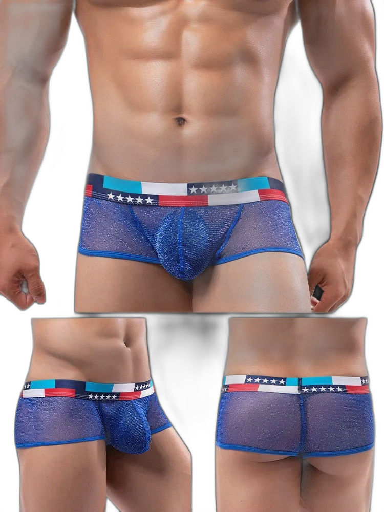 4-pack Low-rise Micro-mesh Boxer Briefs
