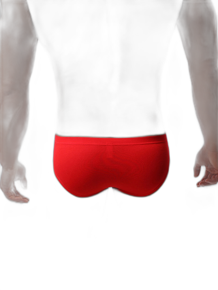 4 Pack Soft Modal Breathable Men Briefs