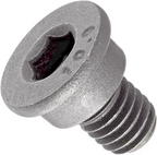 BRAKE DISC RETAINING HEX SCREW BOLT for BMW 8 7 6 5 3 1 SERIES O.E.M 3421161806