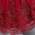 Girls And Toddler Long Sleeve Lace Birthday Tutu Princess Dress