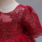 Girls And Toddler Long Sleeve Lace Birthday Tutu Princess Dress