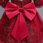 Girls And Toddler Long Sleeve Lace Birthday Tutu Princess Dress