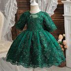 Girls And Toddler Long Sleeve Lace Birthday Tutu Princess Dress