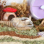 BUCATSTATE Hamster Sand Bath Container Transparent Plastic Sauna Toilet