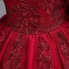 Girls And Toddler Long Sleeve Lace Birthday Tutu Princess Dress