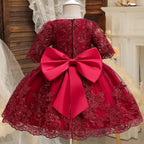 Girls And Toddler Long Sleeve Lace Birthday Tutu Princess Dress