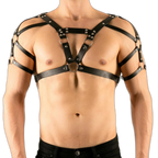 Buckle Up Buddy Black Harness