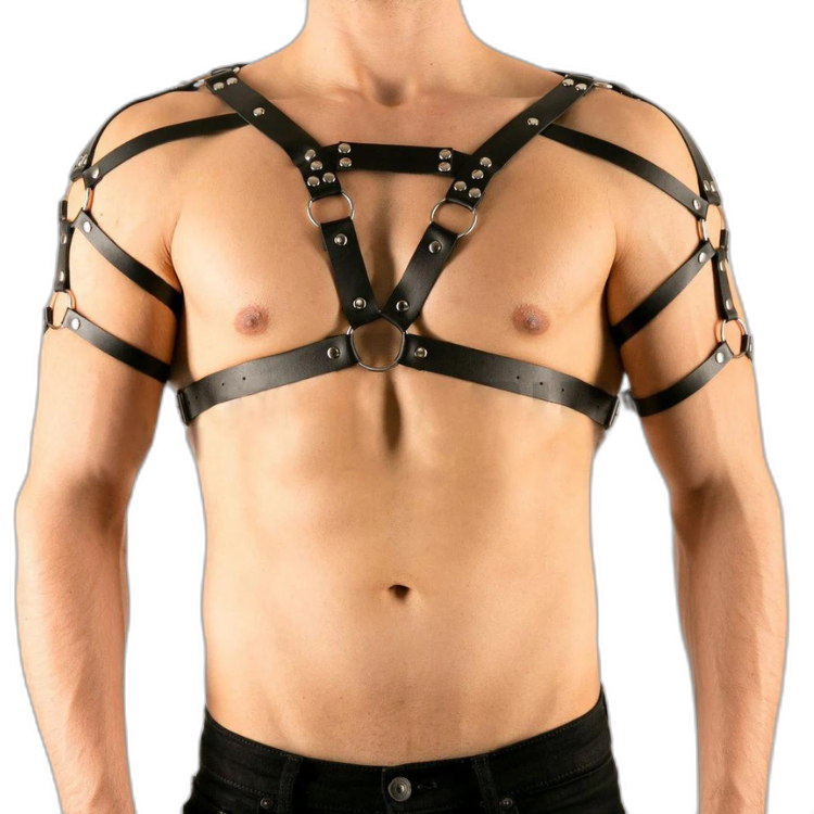 Buckle Up Buddy Black Harness