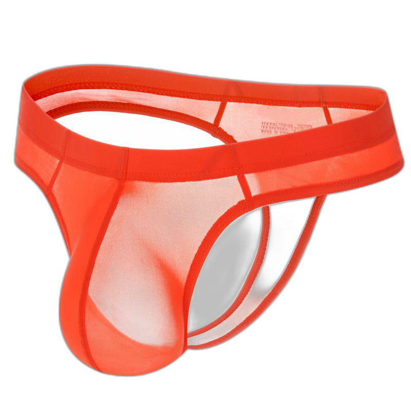 Ultra Silk Thong
