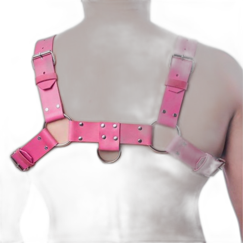 Basic Hot Pink Harness