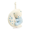 Teddy Bear On Moon Musical Plush Soft Toy Mobile For New Baby Boy Blue